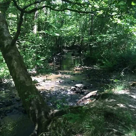 Nature - 4 Personnes A * Signy-le-Petit