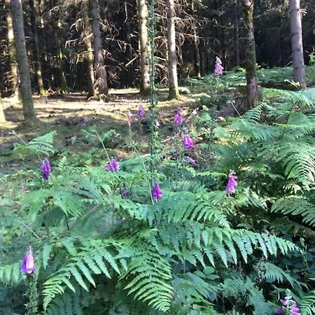 Nature - 4 Personnes A 別荘